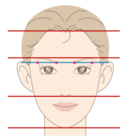 縦の理想バランス
